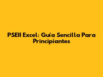 PSEII Excel: Guía Sencilla Para Principiantes